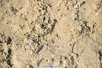 251004A-153651-01899