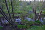 Lahemaa National Park, Estonia