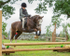 Dunblane show-33