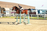 SBM_003359