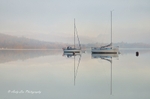 Out Of The Mist