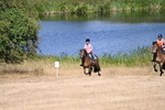 WJ6_8749