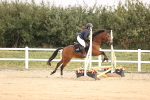 SBM_000447