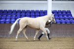 SBM_5428