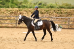 SBM_001003