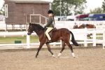 SBM_02894