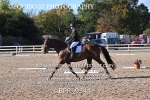 BPP_9344