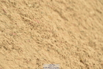 230720A-145732-03401
