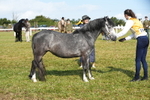 DSC05059