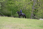 WJ6_1433