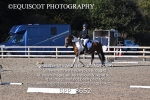 BPP_8652