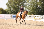 SBM_08049