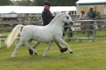 SBM_00499