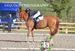BPP_8458