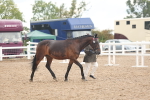 SBM_07860