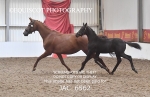 JAC_6562