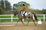 LAD_5440