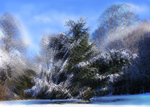 F24  Snow Burst  (A4)