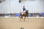 SBM_004349