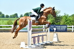 Cls 5 Foxhunter & 1.20m Open portfolio