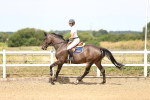 SBM_000567