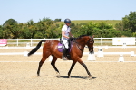 SBM_011767