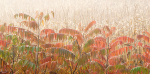 AUTUMN portfolio