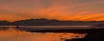 Beauly firth sunset pano