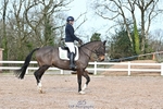 Dressage - CT Class 6 BE102 portfolio