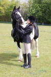 Class 27 - Coloured Horses and Ponies portfolio