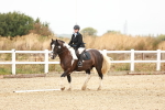 SBM_000569