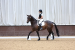 SBM_009323