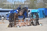 BPP_2973