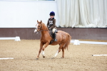 SBM_001053