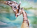 Animals portfolio