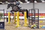 BPP_3955