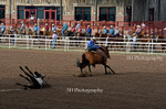 _DSC1356