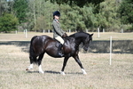 WJ7_3447