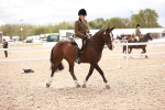 Class 416 - Prettiest Mare (IH or Ridden)Jnr portfolio