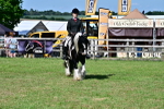 SBM_09346