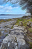 Arnside Shore 2