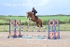 BPP_2327