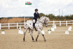 SBM_004841