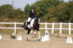 SBM_013660