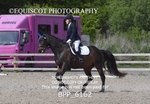 BPP_6162