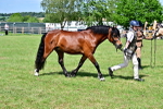 SBM_08063