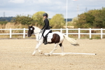 SBM_010705