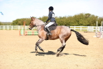 SBM_001591