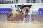 SBM_002434