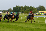 310524-Race 4-Albegone-8763
